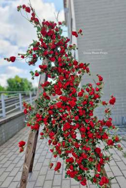 Gałąż różana- CZERWONA - 200 cm + 120 cm