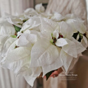 Star of Bethlehem - bouquet - WHITE