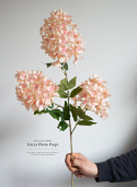 HYDRANGEA - PEACH/IVORY - twig