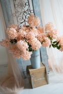 HYDRANGEA - PEACH/IVORY - twig