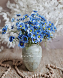 WILD FLOWER - 12 pieces - BLUE