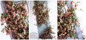 Lot de branches de rosiers - PINK - 150 cm + 120 cm