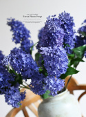 LILAC - 12 pieces - Two-flowered