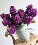 LILAC - 12 pieces - Single flower