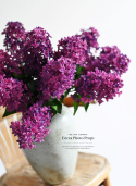 LILAC - 12 pieces - Single flower