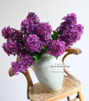 LILAC - 12 pieces - Single flower