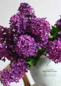 LILAC - 12 pieces - Single flower