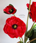 COQUELICOTS - bouquet