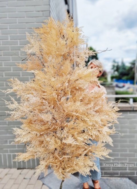 Gałąż BOHO - Carmel- 160 cm