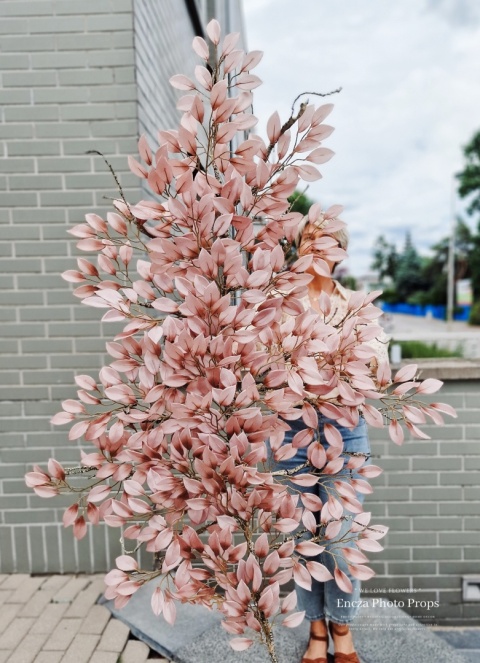 Gałąż FIKUSA - Dirty Pink - 160 cm