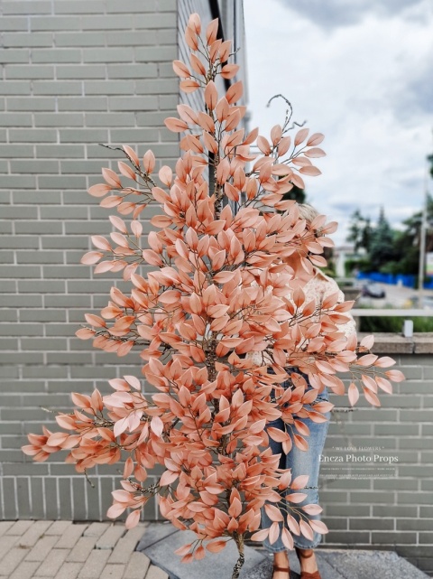 Gałąż FIKUSA - Dirty Peach - 160 cm