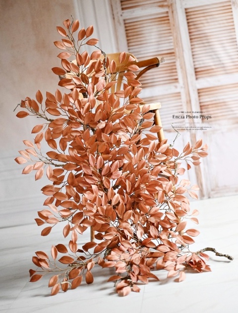 Gałąż FIKUSA - Brązowa - 160 cm