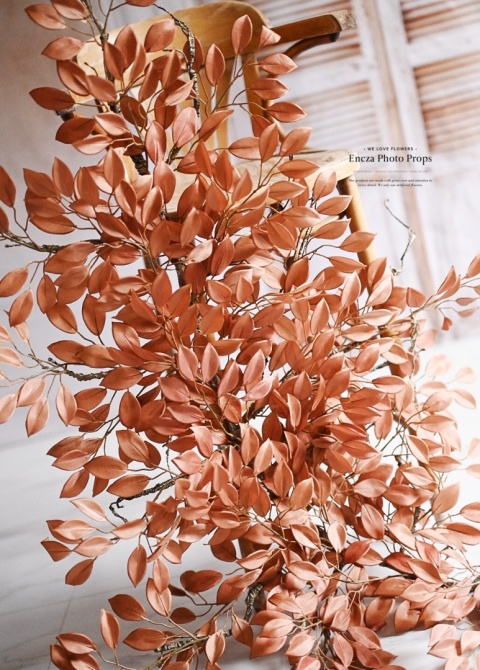 Gałąż FIKUSA - Brązowa - 160 cm