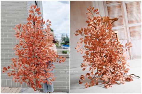 Gałąż FIKUSA - Brązowa - 160 cm