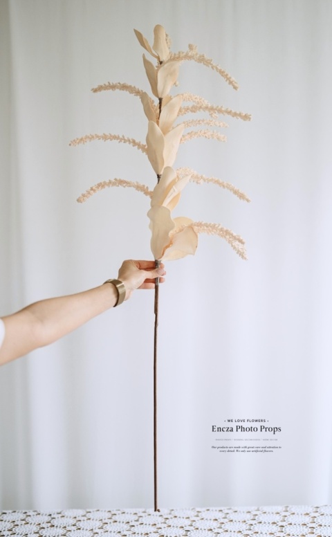 Gałązka dekoracyjna - BOHO