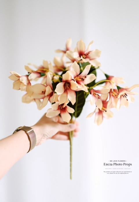 Lilia polna - bukiet - Spring