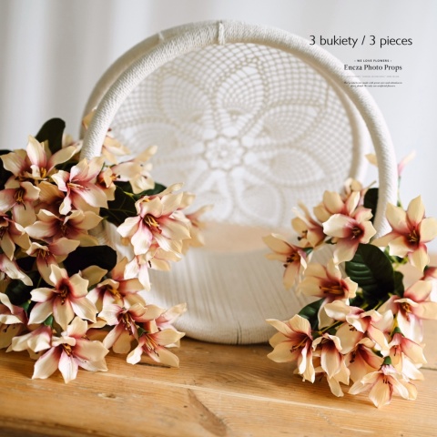 Lilia polna - bukiet - Spring