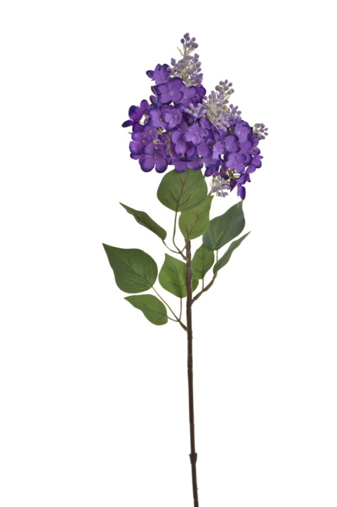 BEZ - DEEP VIOLET - 12 sztuk