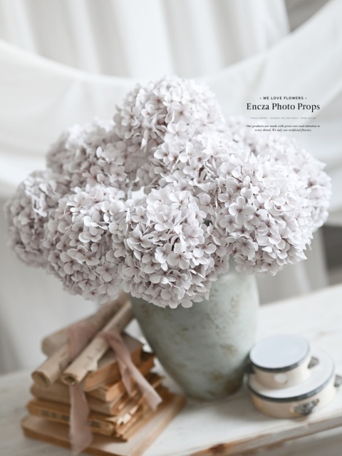 Hortensja - DIRTY WHITE - 12 sztuk