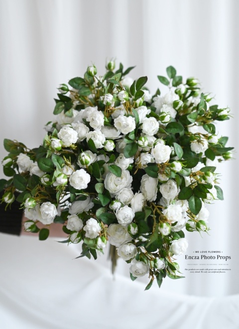 Angielskie różyczki - BIAŁE - 30 sztuk