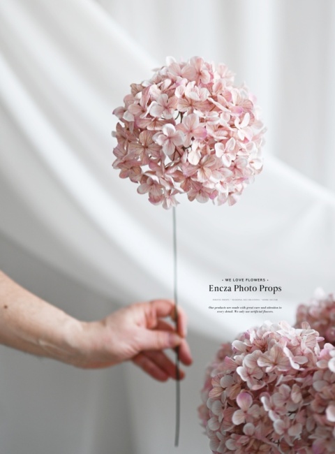 Hortensja - DIRTY PINK - 12 sztuk