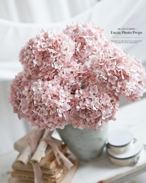 Hortensja - DIRTY PINK - 12 sztuk