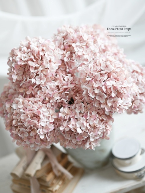 Hortensja - DIRTY PINK - 12 sztuk