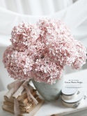 Hortensja - DIRTY PINK - 12 sztuk