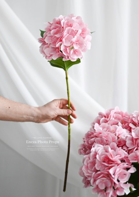 Hortensja PINK - 12 sztuk