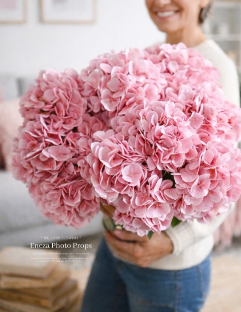 Hortensja PINK - 12 sztuk