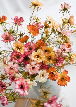 Warszawianka - 12 gałązek