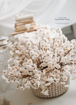 Jabłonka Apricot - 6 sztuk - 60cm