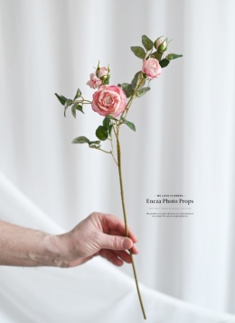 English Roses - MAUVE PINK - 30 pieces