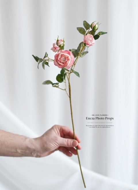 Angielskie różyczki - MAUVE PINK - 30 sztuk