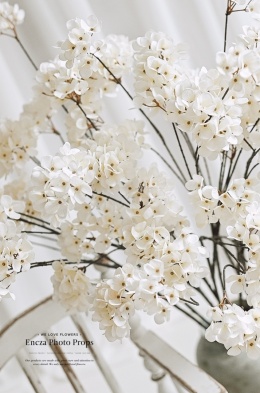 Hortensje - 12 sztuk - 112 cm