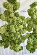 Gałąż hortensji - ZIELONA - 160 cm