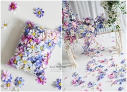 Warszawianka - płatki kwiatów