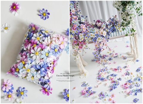 Warszawianka - płatki kwiatów