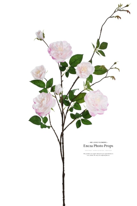 Róża PREMIUM - 12 gałązek