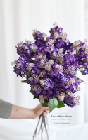 BEZ - DEEP VIOLET - 12 sztuk