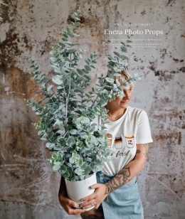 Eucalyptus in a pot - 95 cm