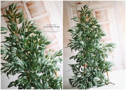 Branche RUSKUS - 180 cm