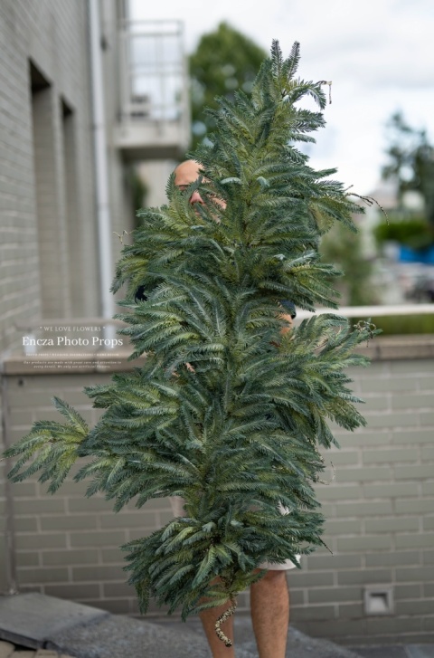 Gałąż JODŁY - 170 cm