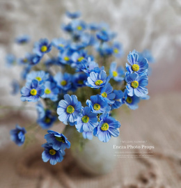 WILD FLOWER - 12 pieces - BLUE