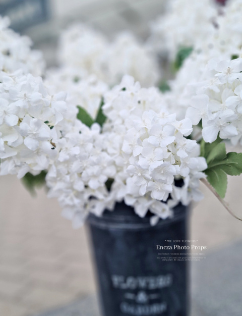 Hortensia - Blanc - Branches Hortensia - Blanc - Branches