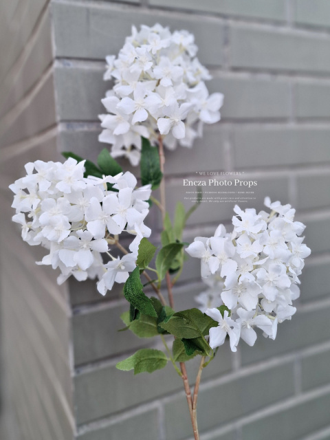 Hortensia - Blanc - Branches Hortensia - Blanc - Branches